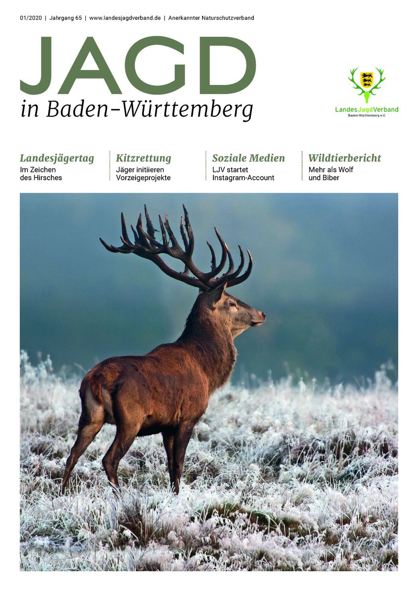 Jagd in Baden-Wrttemberg