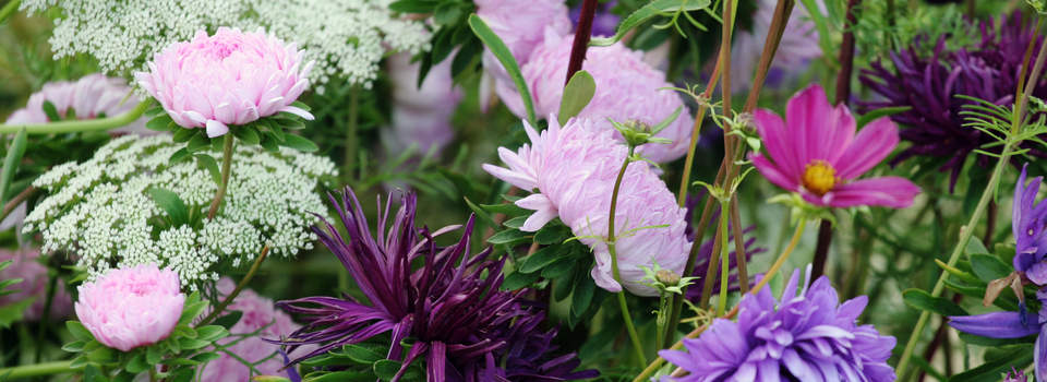 Gartenbau