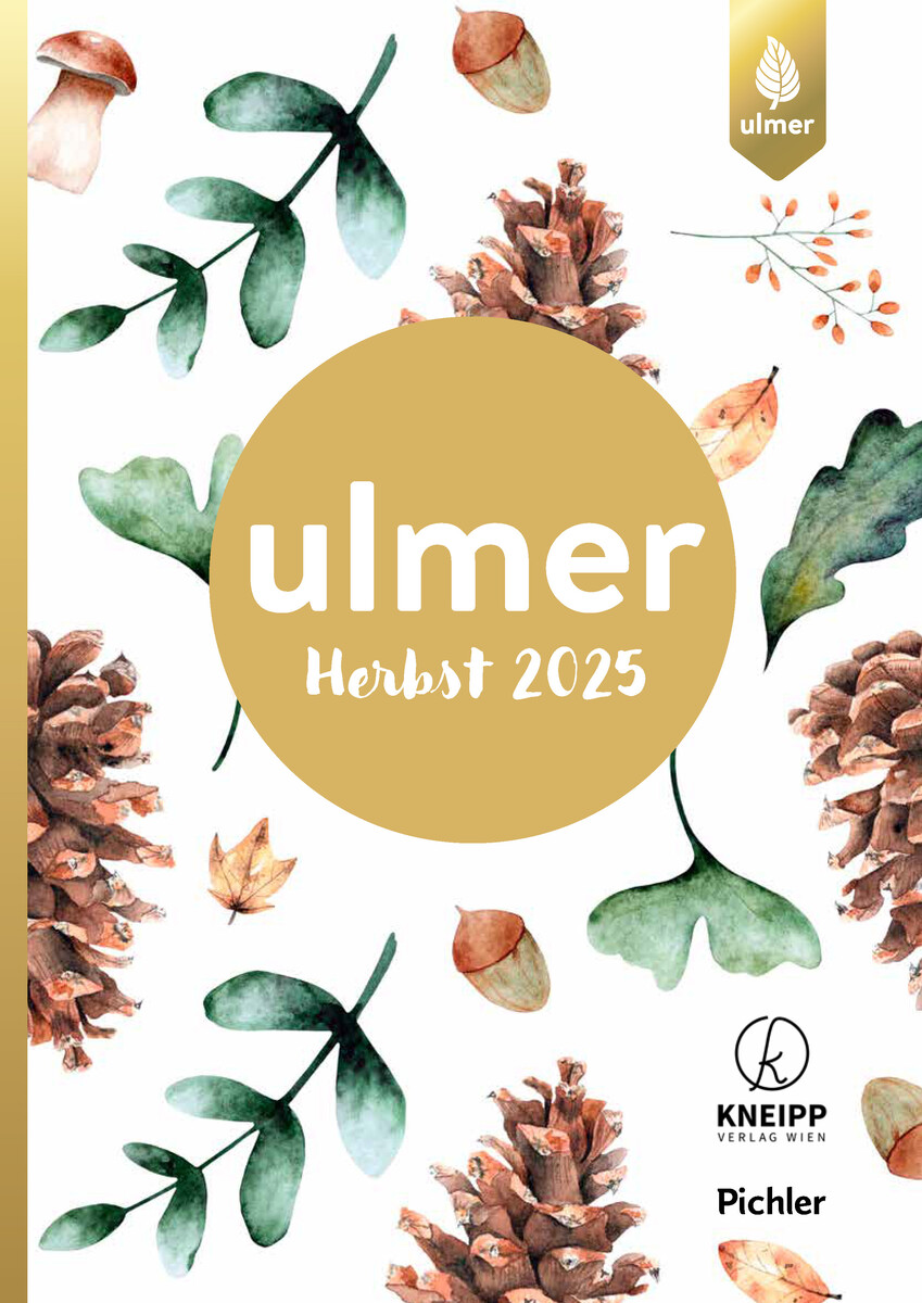 Ulmer Herbst 2025